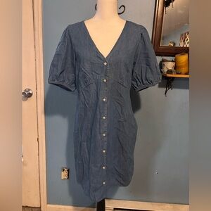 Gap, Chambray, Puff Sleeve, Button Down, Dress